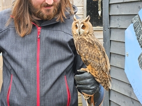 Customer Photo of Birds of Prey Coaville (North West Leicestershire)